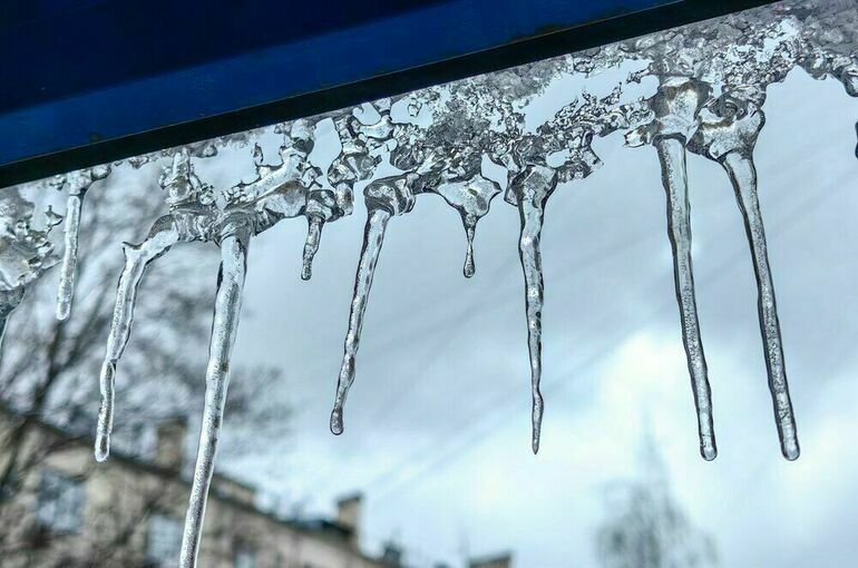 Минсельхоз Воронежской области ввел режим ЧС из-за заморозков