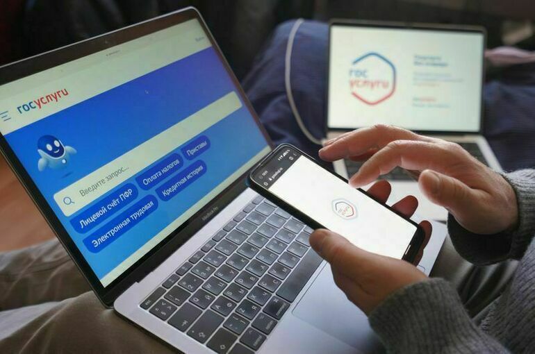 Минцифры предложило тариф для бизнеса за пользование электронным правительством