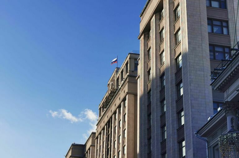 Госдума готова пригласить представителя кабмина для отчета по теме детского отдыха