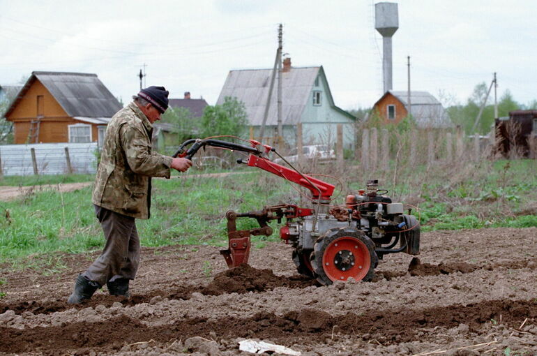 В России создадут единую федеральную почвенную карту