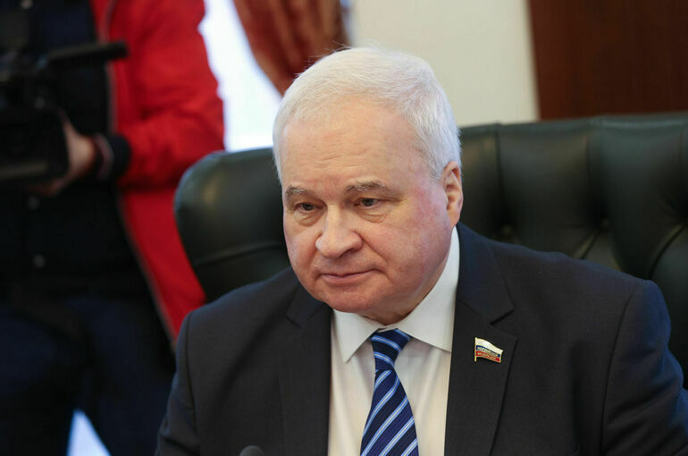 Сенатор Денисов призвал возобновить деятельность российско-индийской комиссии