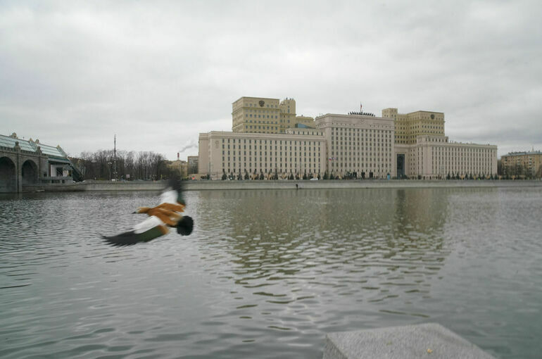 Российские военные освободили Ступочки и Отрадное в ДНР