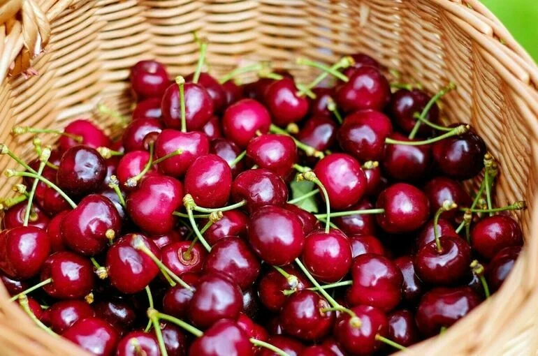 Эксперт рассказала, когда начнется сезон черешни и персиков