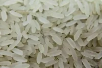 Минсельхоз предложил продлить временный запрет на экспорт риса