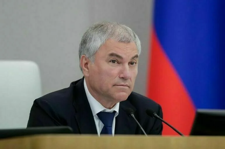 Володин направил в комитет Госдумы законопроект о допуске студентов к работе в школах