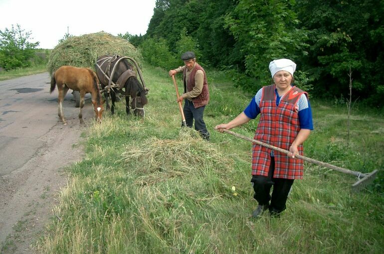 Порядок созыва собрания сельхозкооператива предложили усовершенствовать