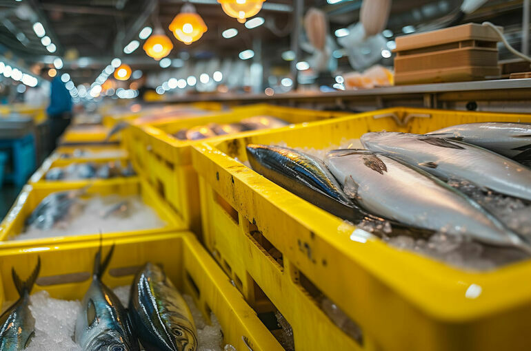 Сенаторы предложили Минсельхозу расширить страхование продукции аквакультуры