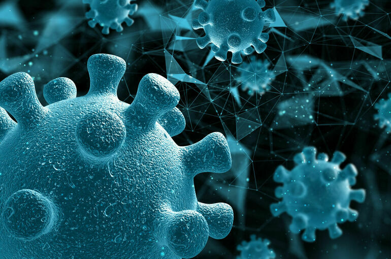 Роспотребнадзор обнаружил норовирус на круизном лайнере «Михаил Булгаков»