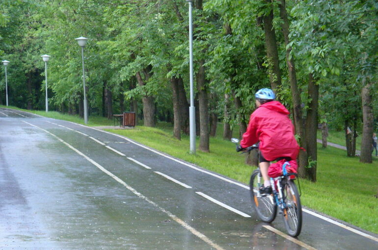 Москвичам спрогнозировали дожди на выходных