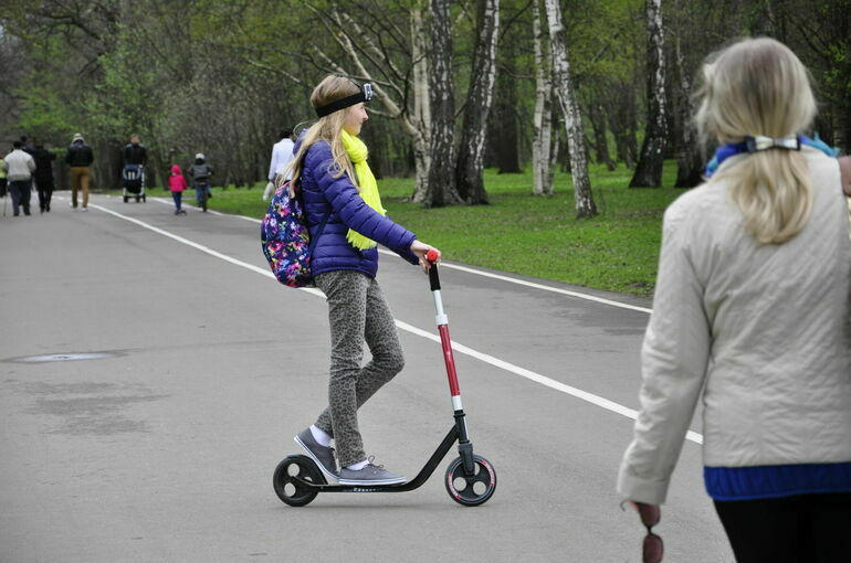В Общественной палате предложили ввести федеральные правила для электросамокатов