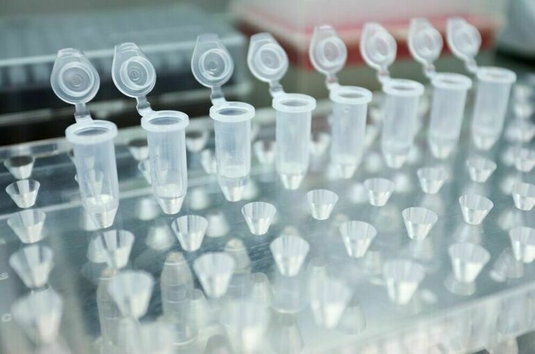 Роспотребнадзор не исключает завоза холеры в Россию