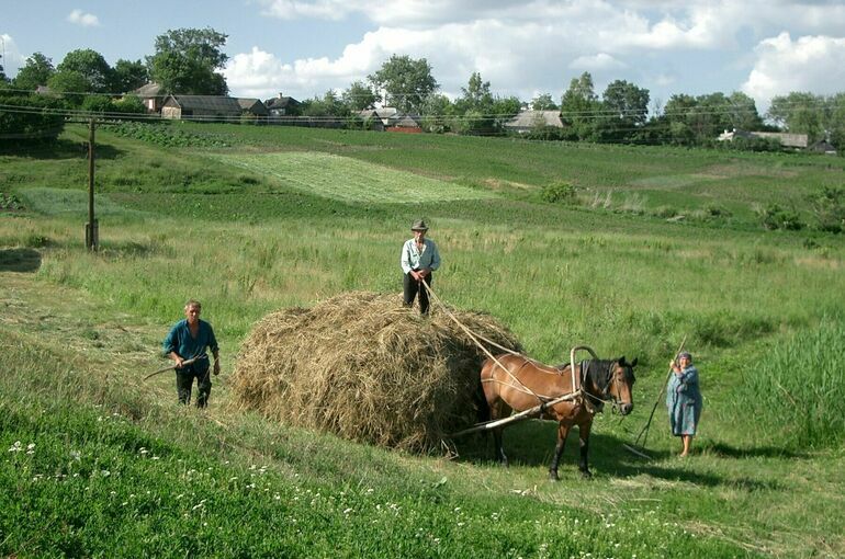 Жители села рассказали о результатах программ государственной поддержки