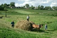 Жители села рассказали о результатах программ государственной поддержки