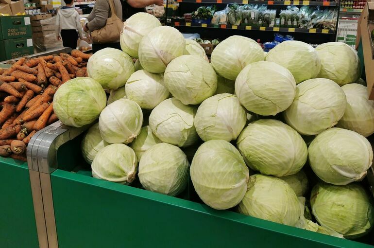 Фермерские полки в крупных сетях установят по единому стандарту