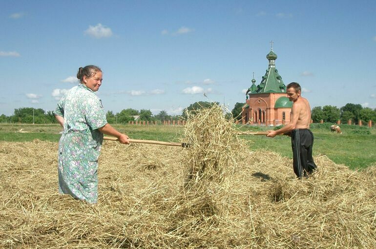 Анютины грядки: блогеры зовут жить и работать в деревне