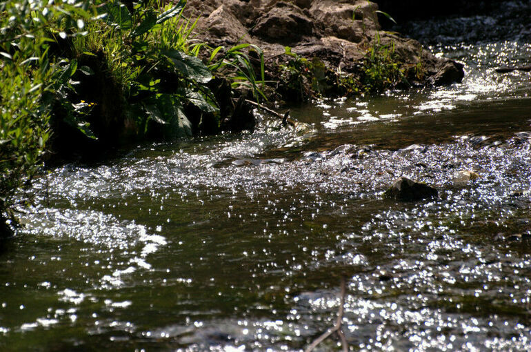 В Енисей попало 30 тонн топлива из поврежденного теплохода