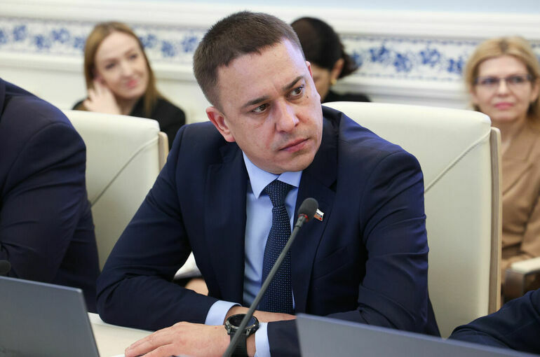 Сенатор Гибатдинов предлагает запретить авиакомпаниям устанавливать нормы ручной клади