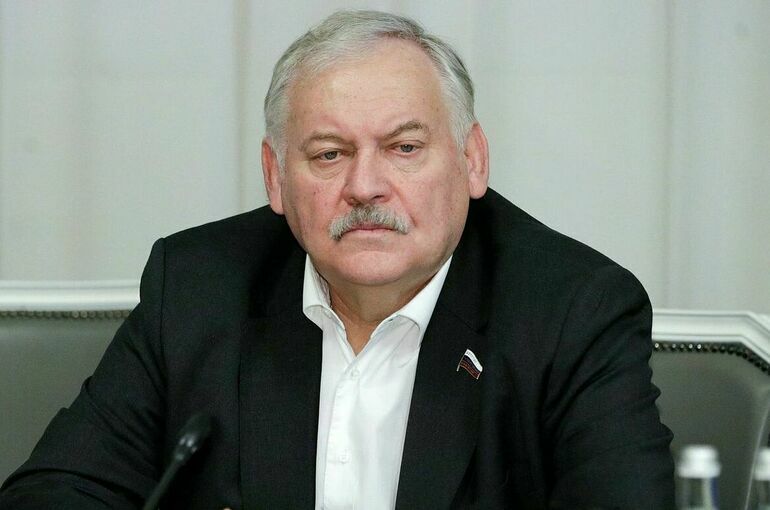 В Госдуме рассказали, как будет работать «закон о контроле за детьми мигрантов»