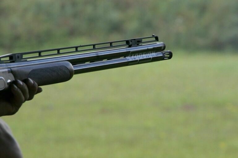 Подросток застрелил 11 человек в австрийской школе