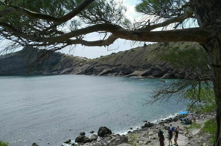 В пяти районах Крыма ввели режим ЧС из-за заморозков