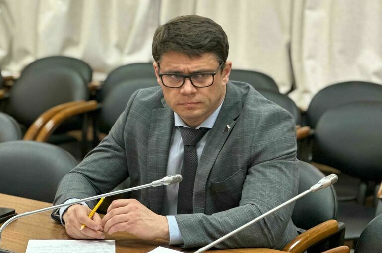 Депутат Боярский: Нет смысла пускать зарубежные туристические сервисы в Россию