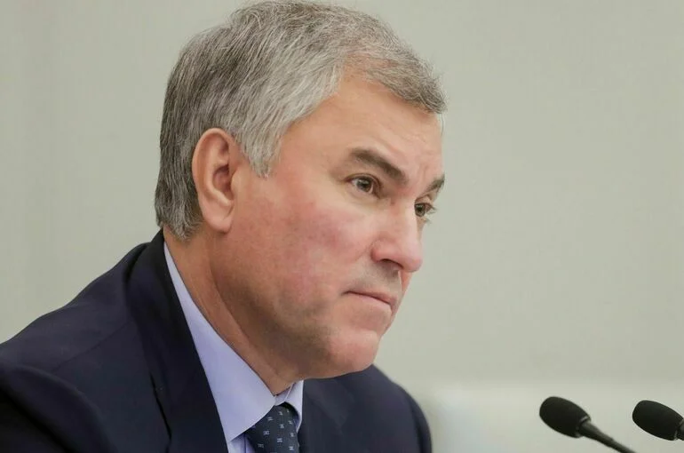 Володин выразил соболезнования в связи с авиакатастрофой в Индии
