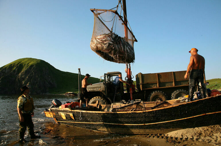 Эксперты рассказали, почему россиянам не хватает омуля