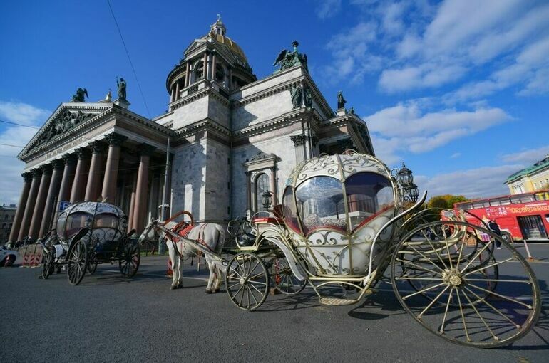 В Петербурге назревает лошадиный бунт