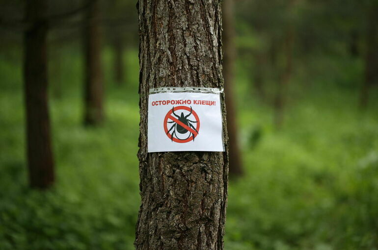 Информацию о карантинных фитосанитарных зонах уберут из общего доступа