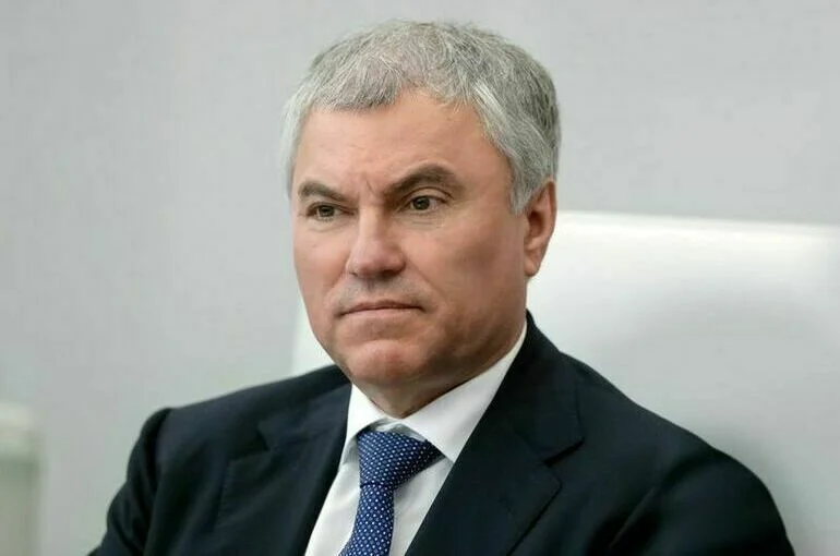 Володин: Принятые законы по борьбе с нелегальной миграцией заработали