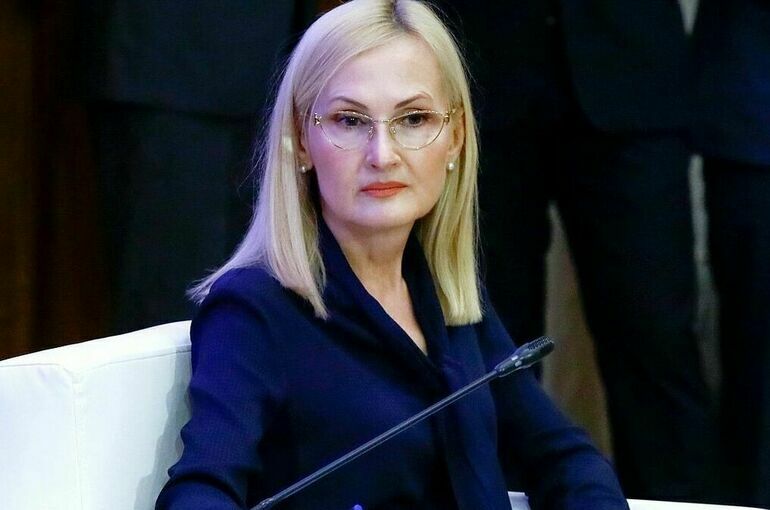 Депутат Яровая: С 2024 года принято 16 законов против нелегальной миграции