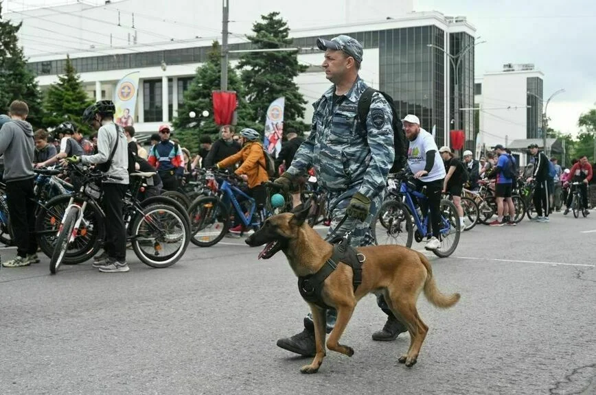 Стать полицейским будет проще
