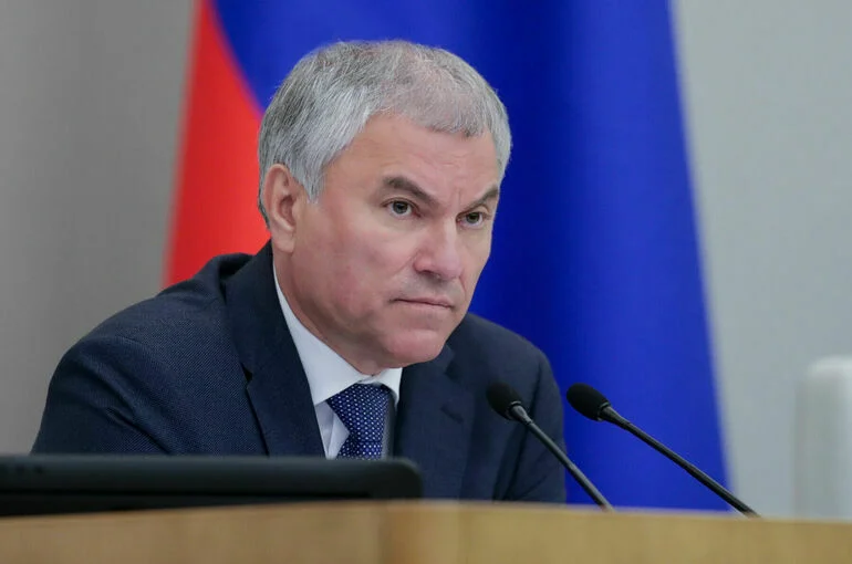 Володин предложил открыть в Киргизии программы подготовки таксистов для работы в РФ