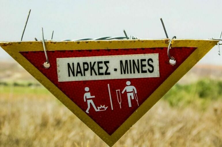 В Польше проголосовали за выход из Оттавской конвенции