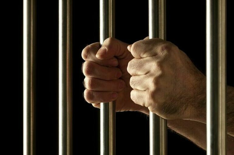 Представители социальных НКО смогут стать попечителями тюрем