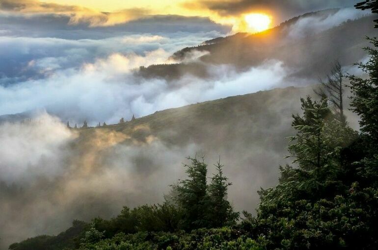 Площадь природного пожара в Алуште увеличилась до 5 га