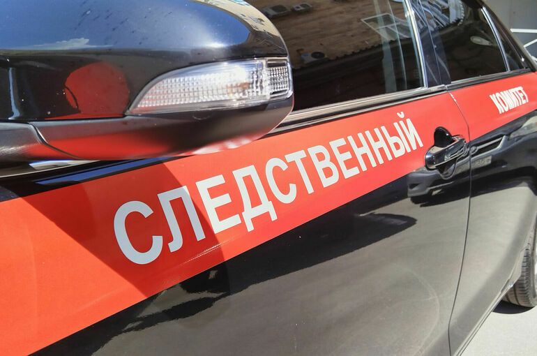 В Тольятти завели дело на подростков, спевших песню про Бандеру