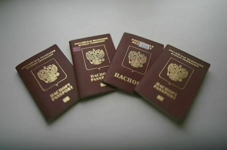 Литва и Латвия перестали признавать пятилетние загранпаспорта россиян