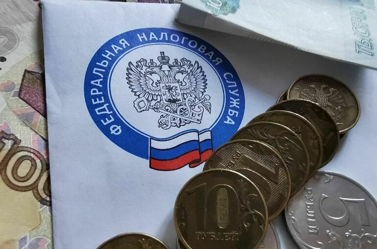 Налог на богатых принес в «Круг добра» более 200 миллиардов в 2024 году
