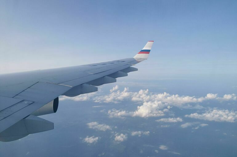 Срок оснащения самолетов сканерами и рентгенами предложили продлить на два года