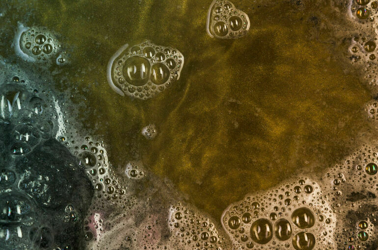 Более 500 тонн отходов с мазутом собрали со дна Черного моря на Кубани