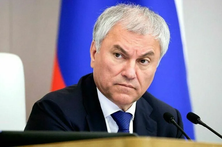 Володин предложил расширить список оснований для лишения гражданства