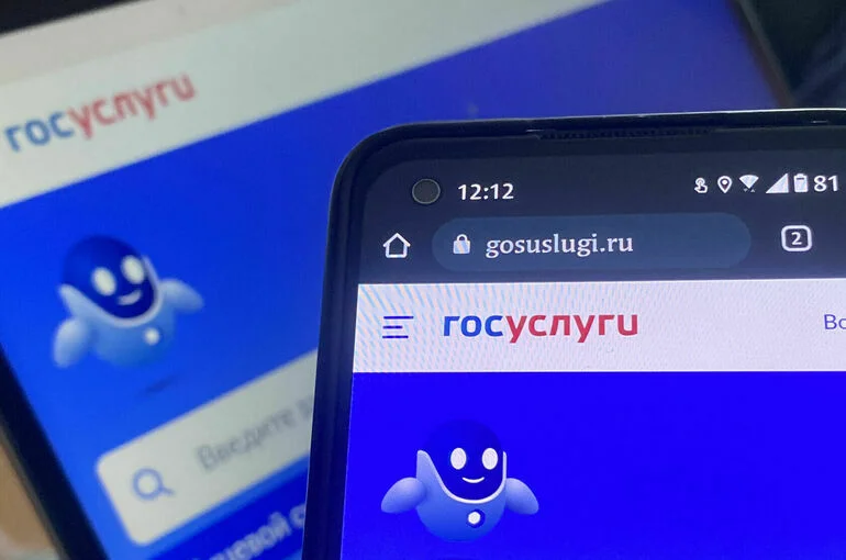 На «Госуслугах» сформировали более 110 тысяч справок об участии в СВО