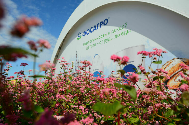 В Волгоградской области прошел Всероссийский день поля — крупнейший агрофорум страны