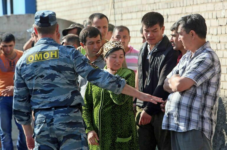 Ответственность за незаконный наем мигрантов предложили ужесточить