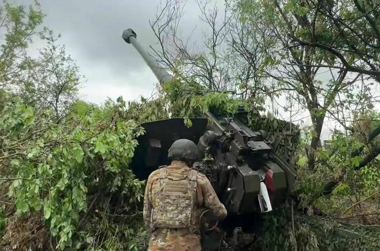 Российская армия освободила Зеленую Долину в ДНР