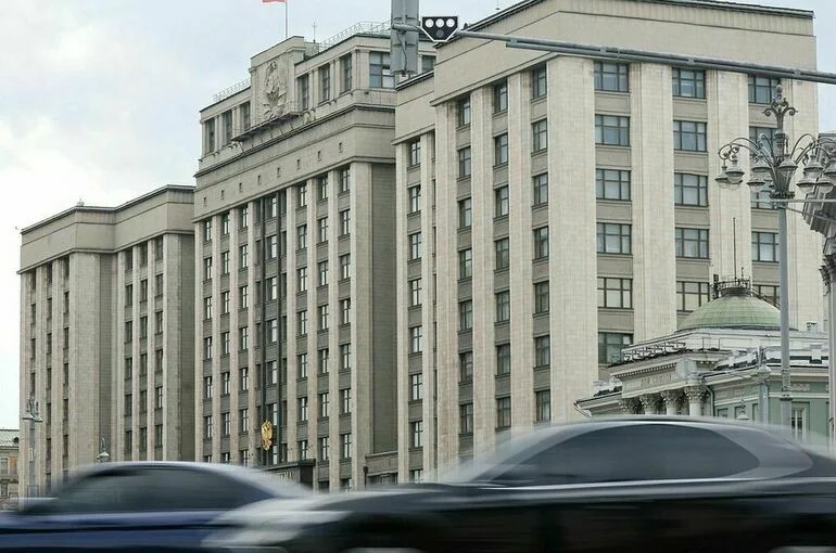 Госдума планирует принять закон об основаниях для лишения гражданства до 23 июля