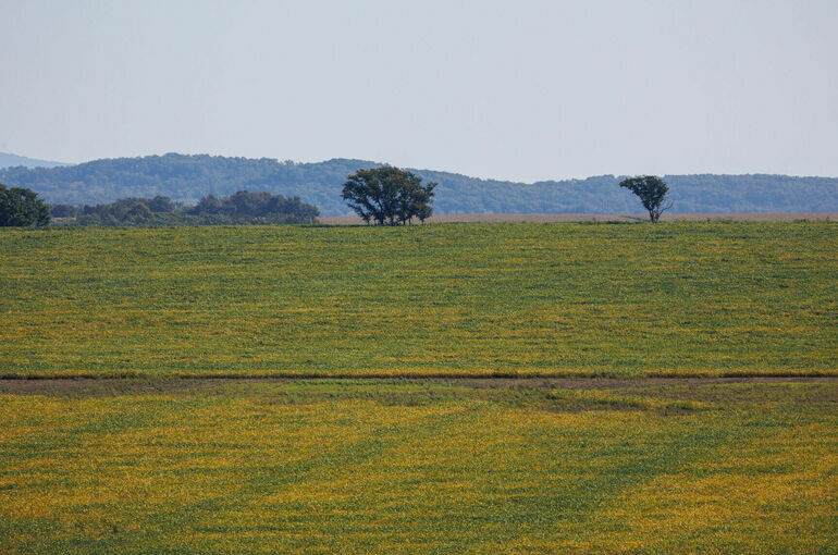 Государственную кадастровую оценку будут проводить по единой системе