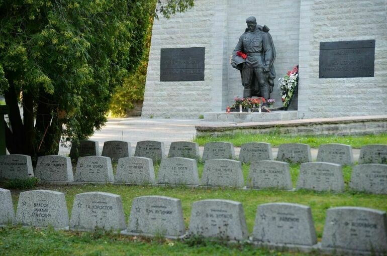 Экс-министр культуры Эстонии раскритиковал снос советских памятников