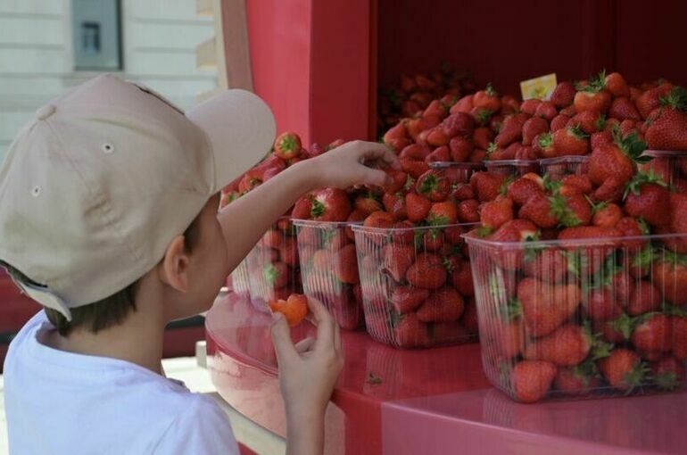 На Кубани разграничат полномочия районных и городских органов МСУ в сфере торговли